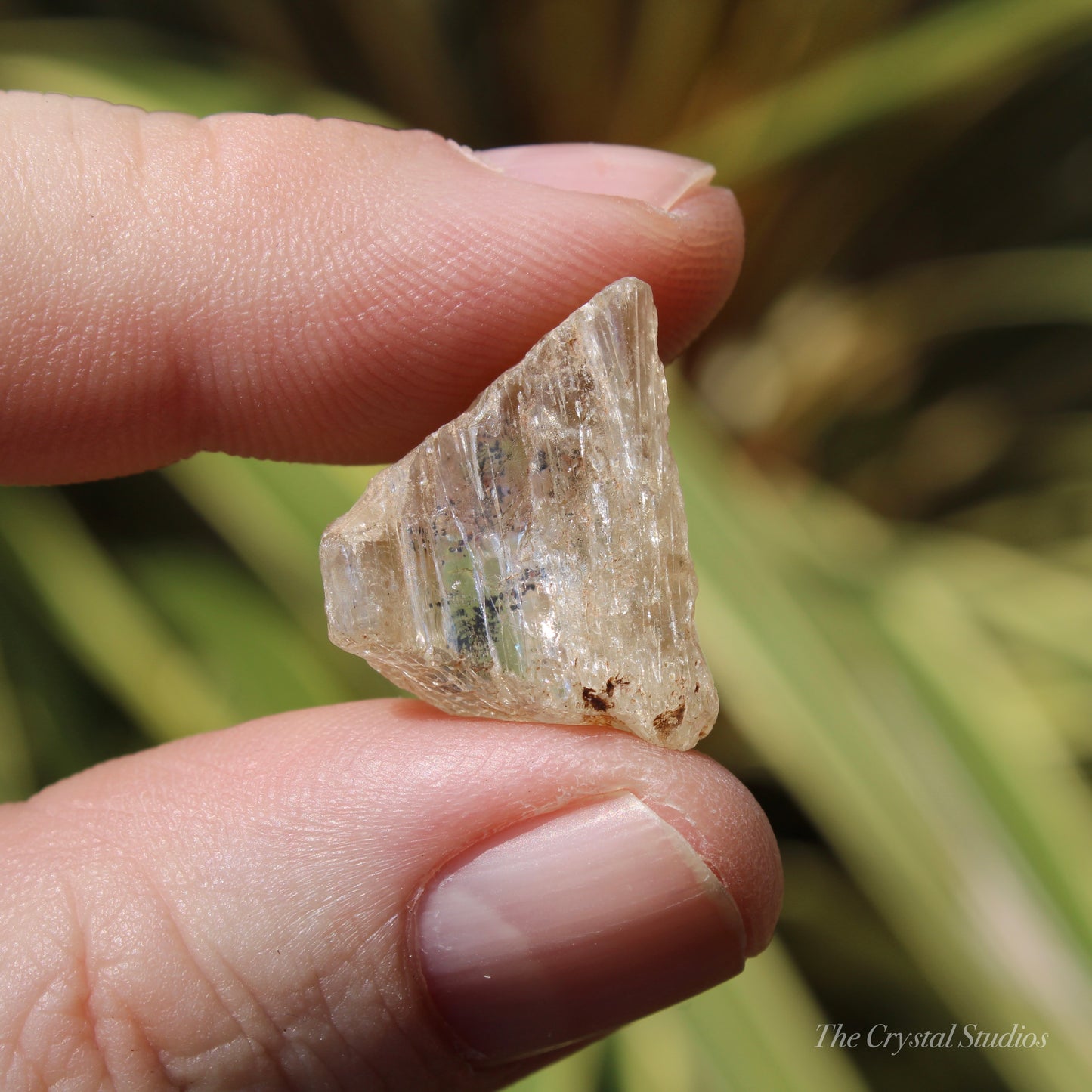 Golden Yellow Scapolite Natural Crystal