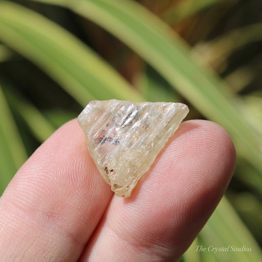 Golden Yellow Scapolite Natural Crystal