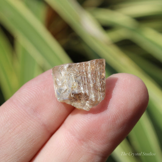 Golden Yellow Scapolite Natural Crystal