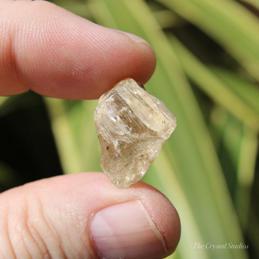 Golden Yellow Scapolite Natural Crystal