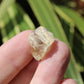 Golden Yellow Scapolite Natural Crystal