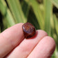 Spessartine Garnet Small Polished Crystal Tumblestone