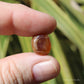 Spessartine Garnet Small Polished Crystal Tumblestone