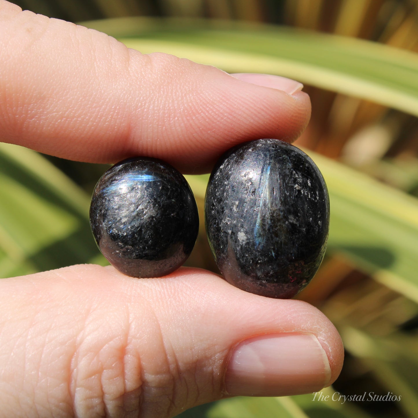 Astrophyllite & Garnet Polished Crystal Tumblestone Set