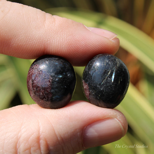 Astrophyllite & Garnet Polished Crystal Tumblestone Set