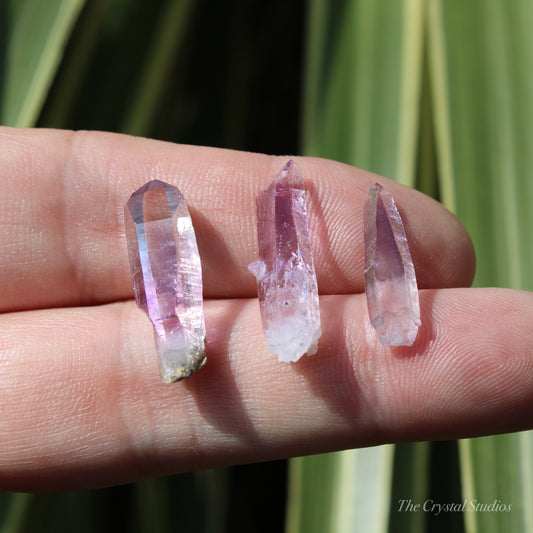 Vera Cruz Amethyst Natural Crystal Point Set