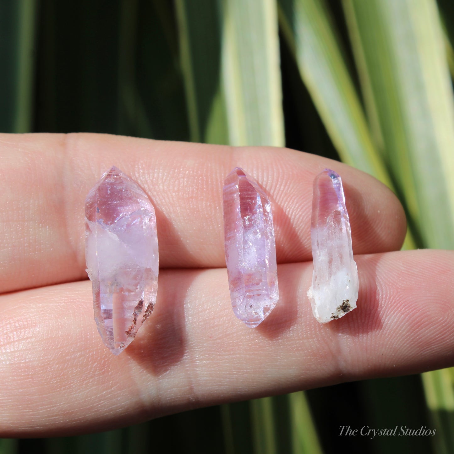 Vera Cruz Amethyst Natural Crystal Point Set