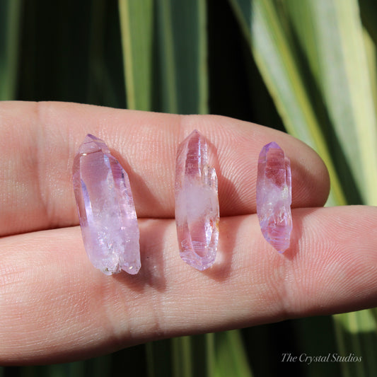 Vera Cruz Amethyst Natural Crystal Point Set