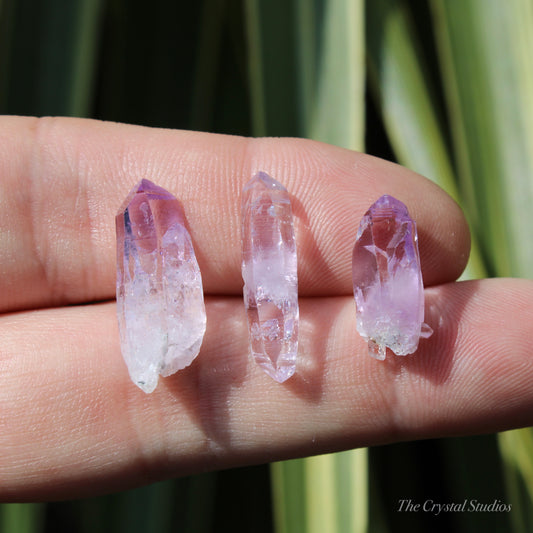 Vera Cruz Amethyst Natural Crystal Point Set