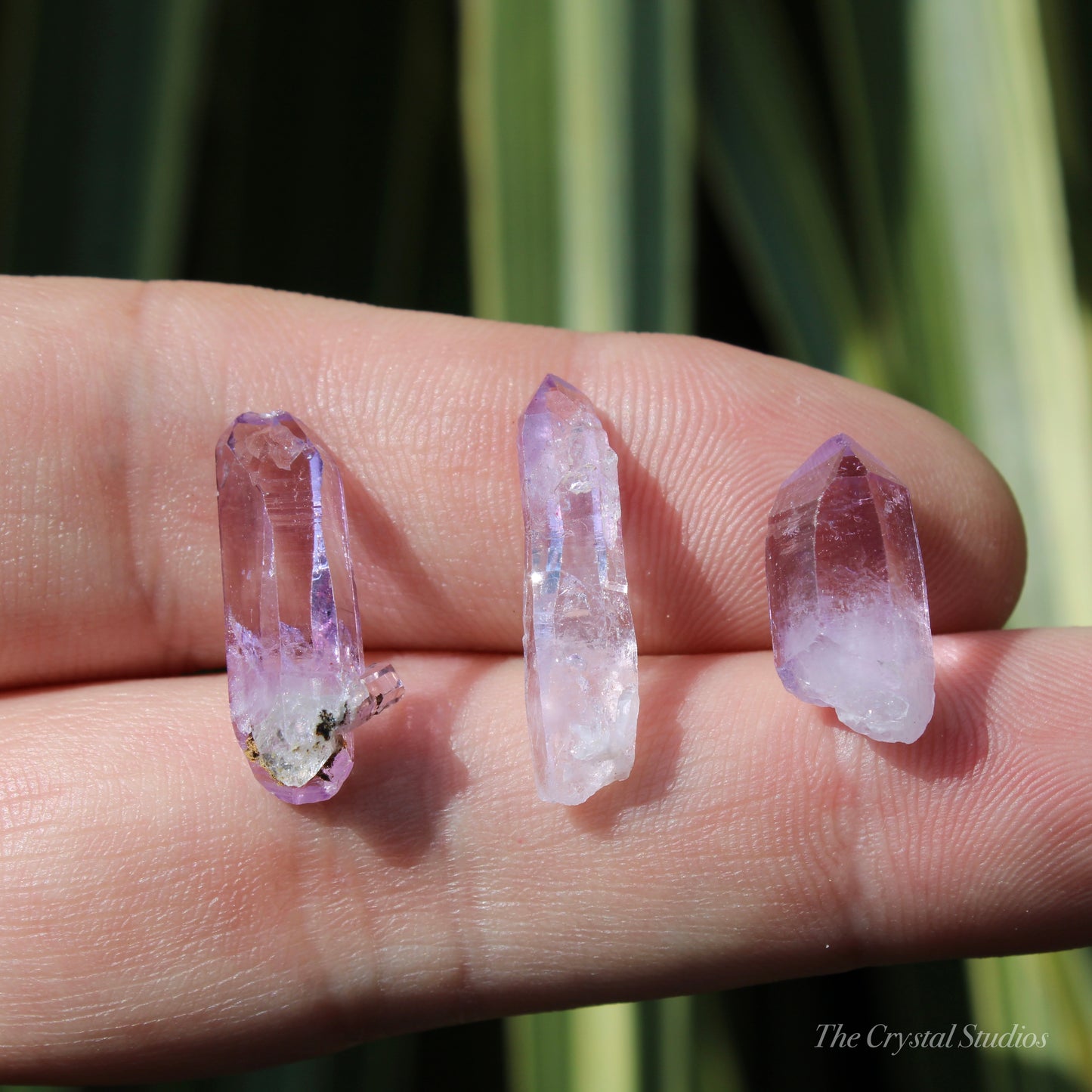 Vera Cruz Amethyst Natural Crystal Point Set