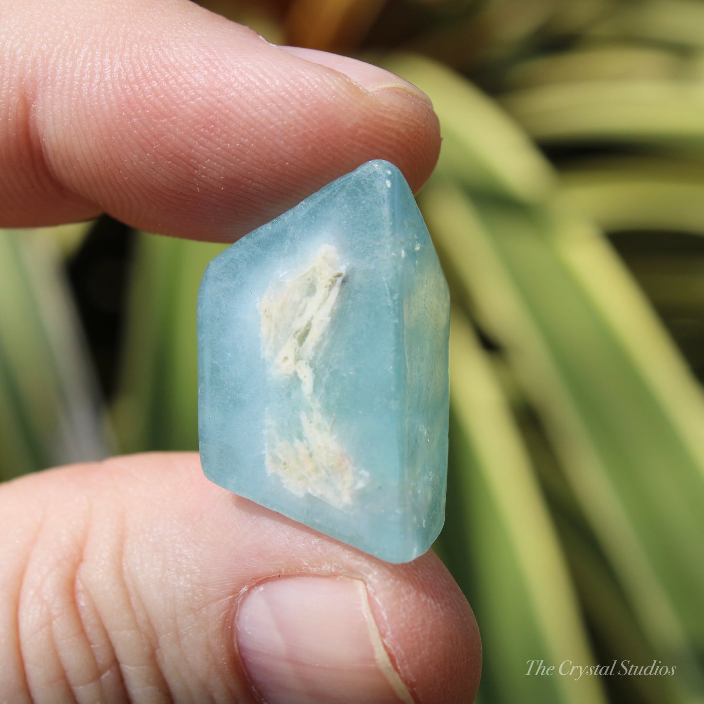 Aquamarine Small Crystal Polished Freeform