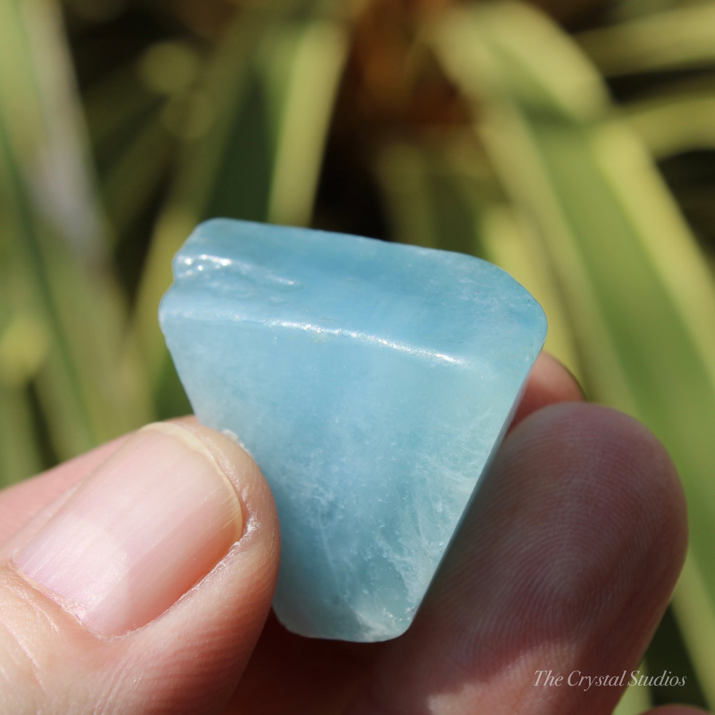 Aquamarine Small Crystal Polished Freeform