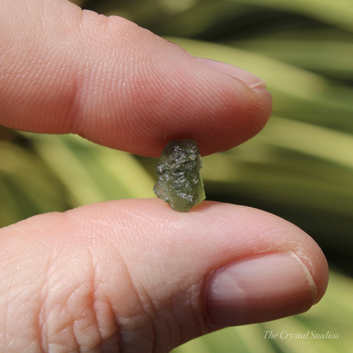 Moldavite Genuine Natural Crystal