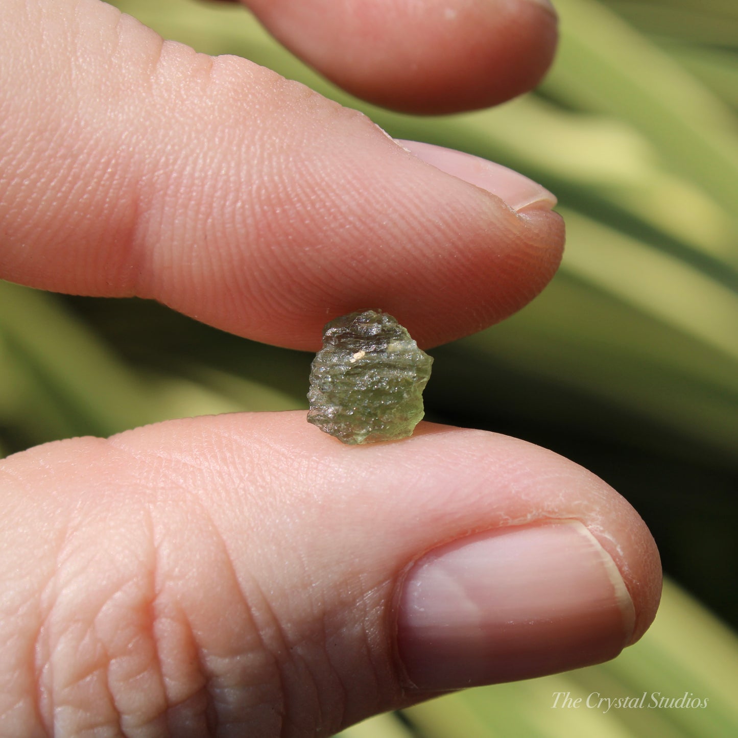 Moldavite Genuine Natural Crystal