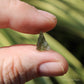 Moldavite Genuine Natural Crystal