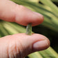 Moldavite Genuine Natural Crystal