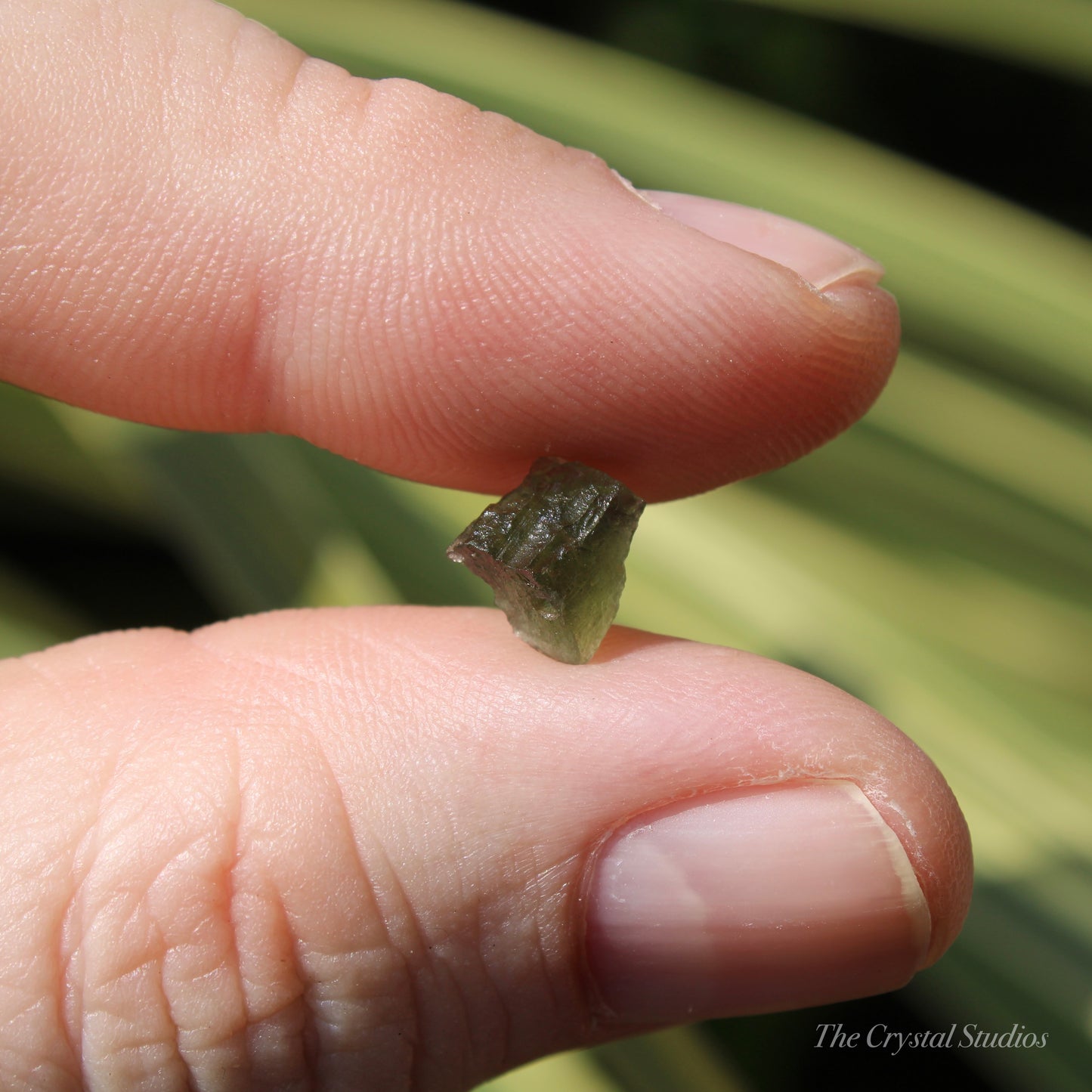 Moldavite Genuine Natural Crystal