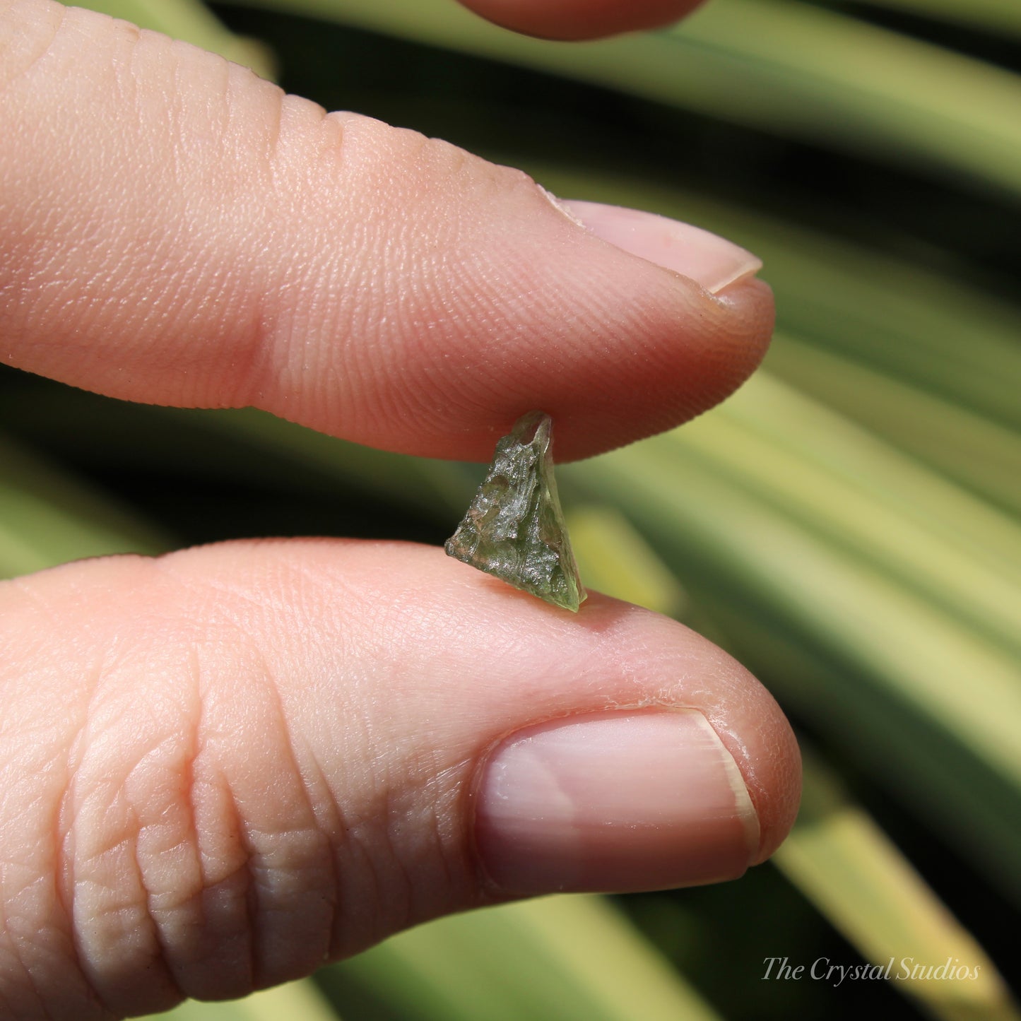 Moldavite Genuine Natural Crystal