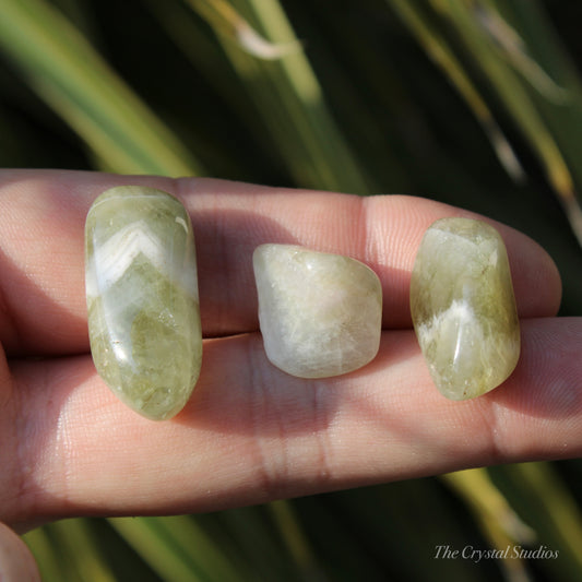 Praisolite Polished Crystal Tumblestone Set