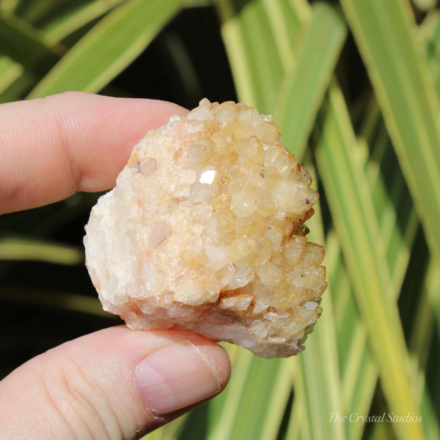 Citrine (Heat Treated) Crystal Cluster