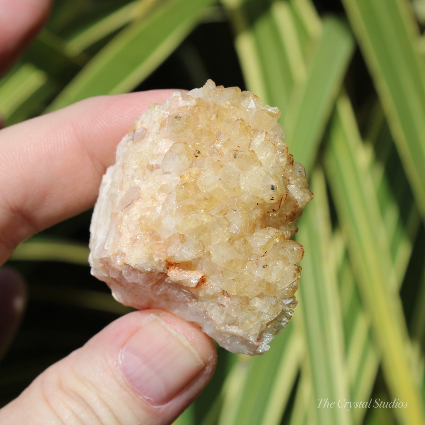 Citrine (Heat Treated) Crystal Cluster