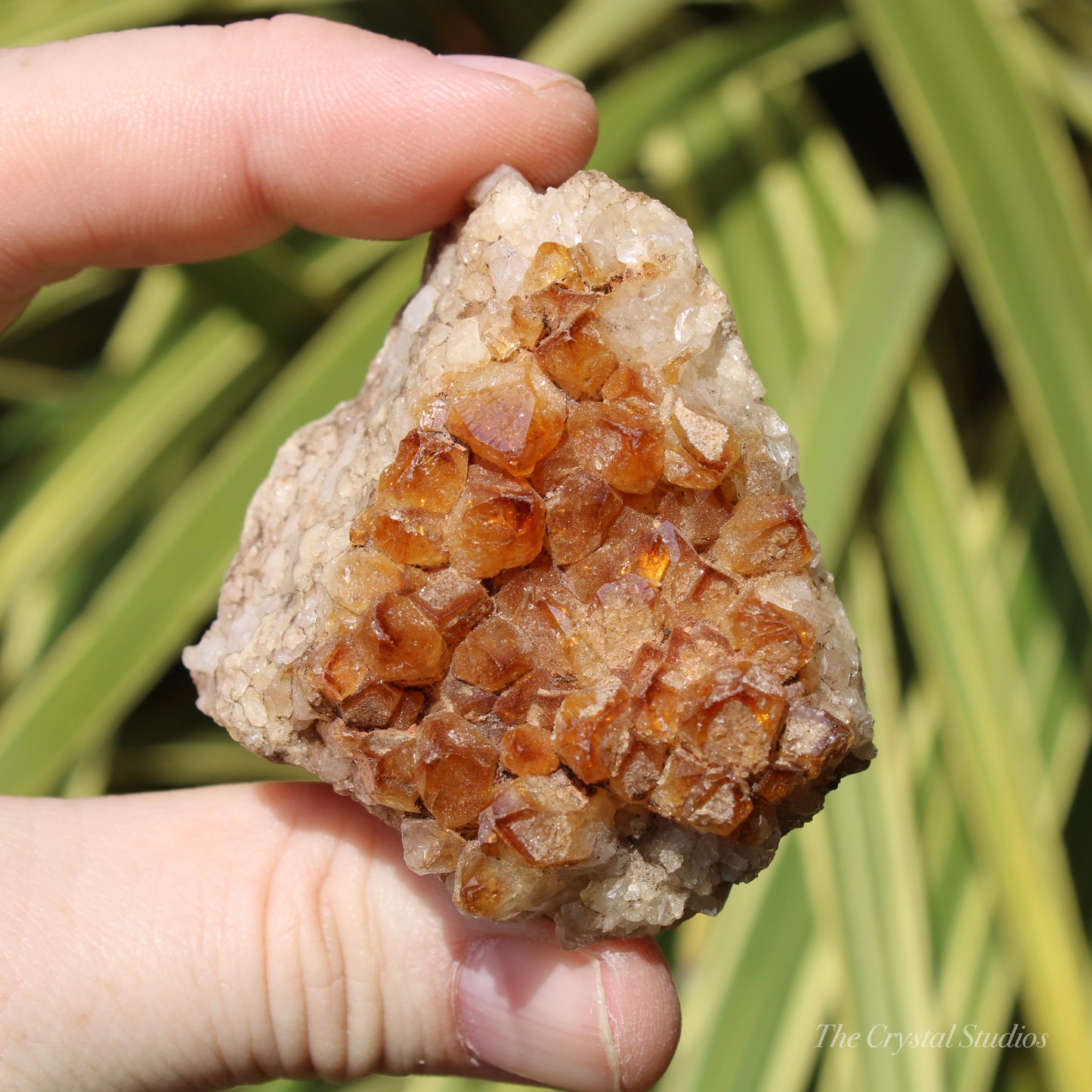 Citrine (Heat Treated) Crystal Cluster