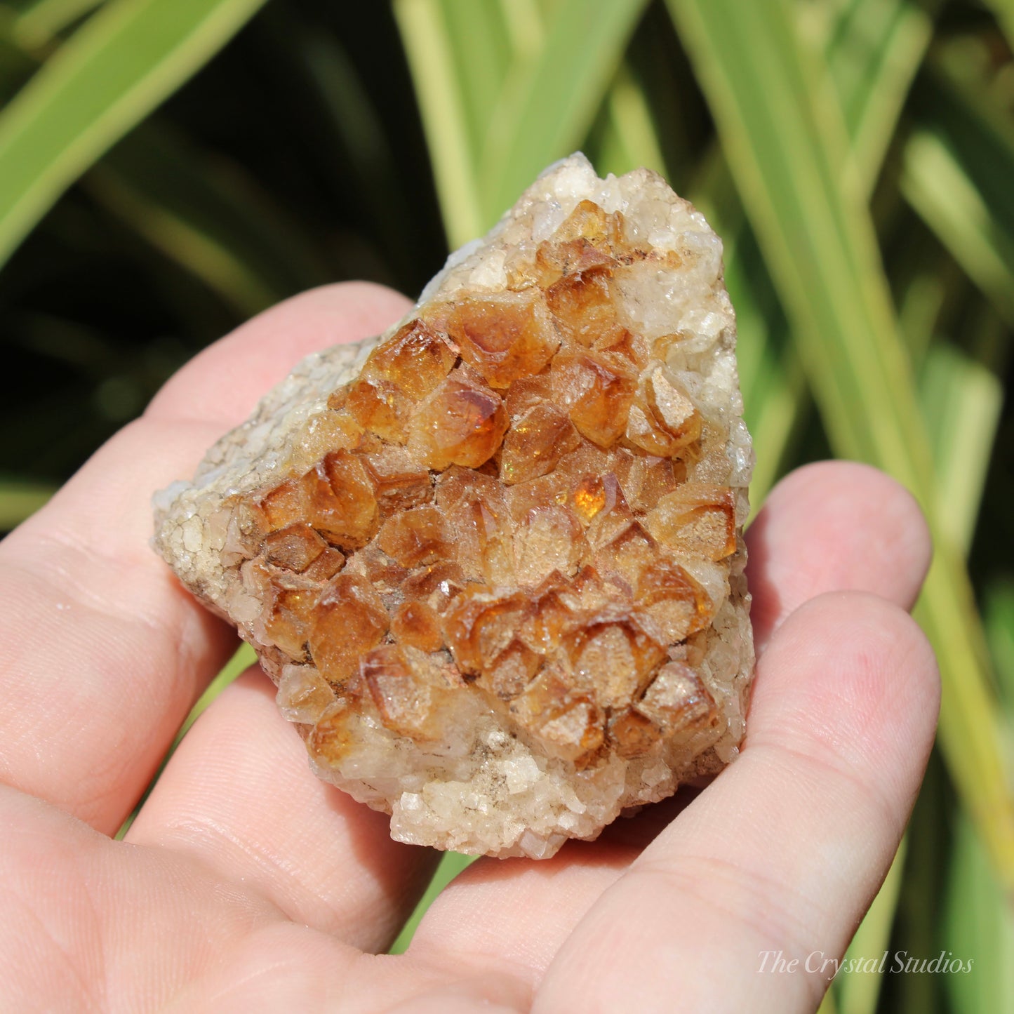 Citrine (Heat Treated) Crystal Cluster