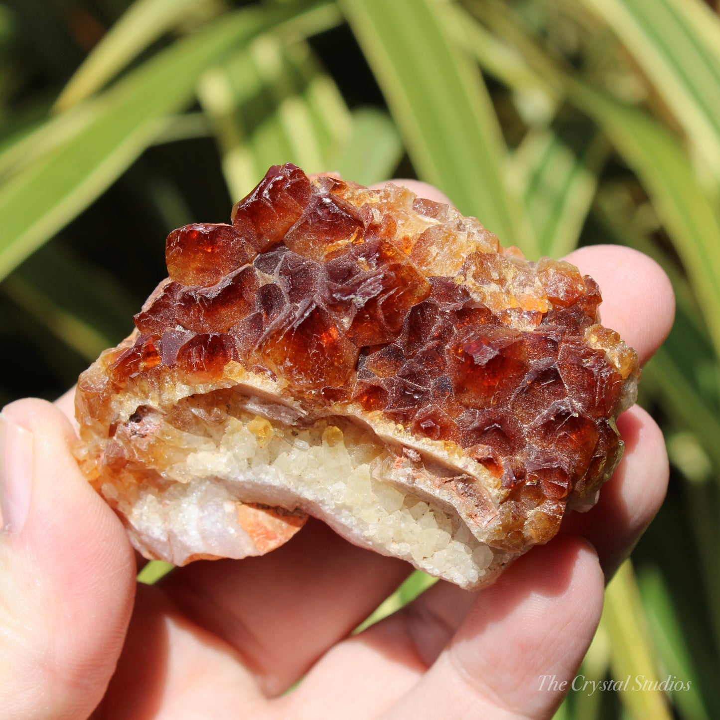 Citrine (Heat Treated) Crystal Cluster