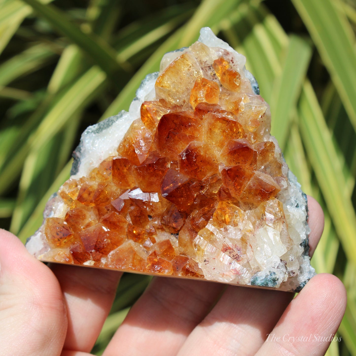 Citrine (Heat Treated) Crystal Cluster