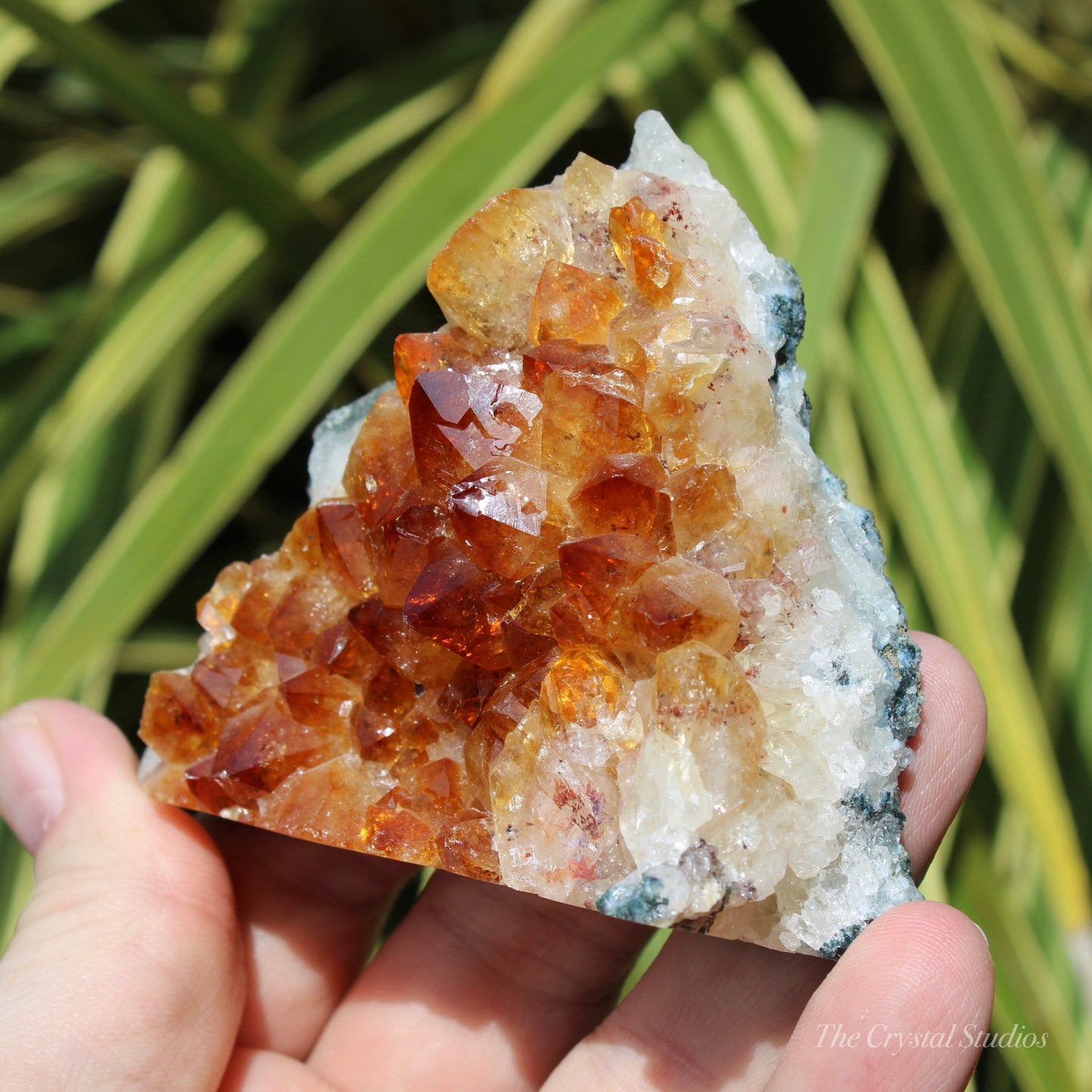 Citrine (Heat Treated) Crystal Cluster