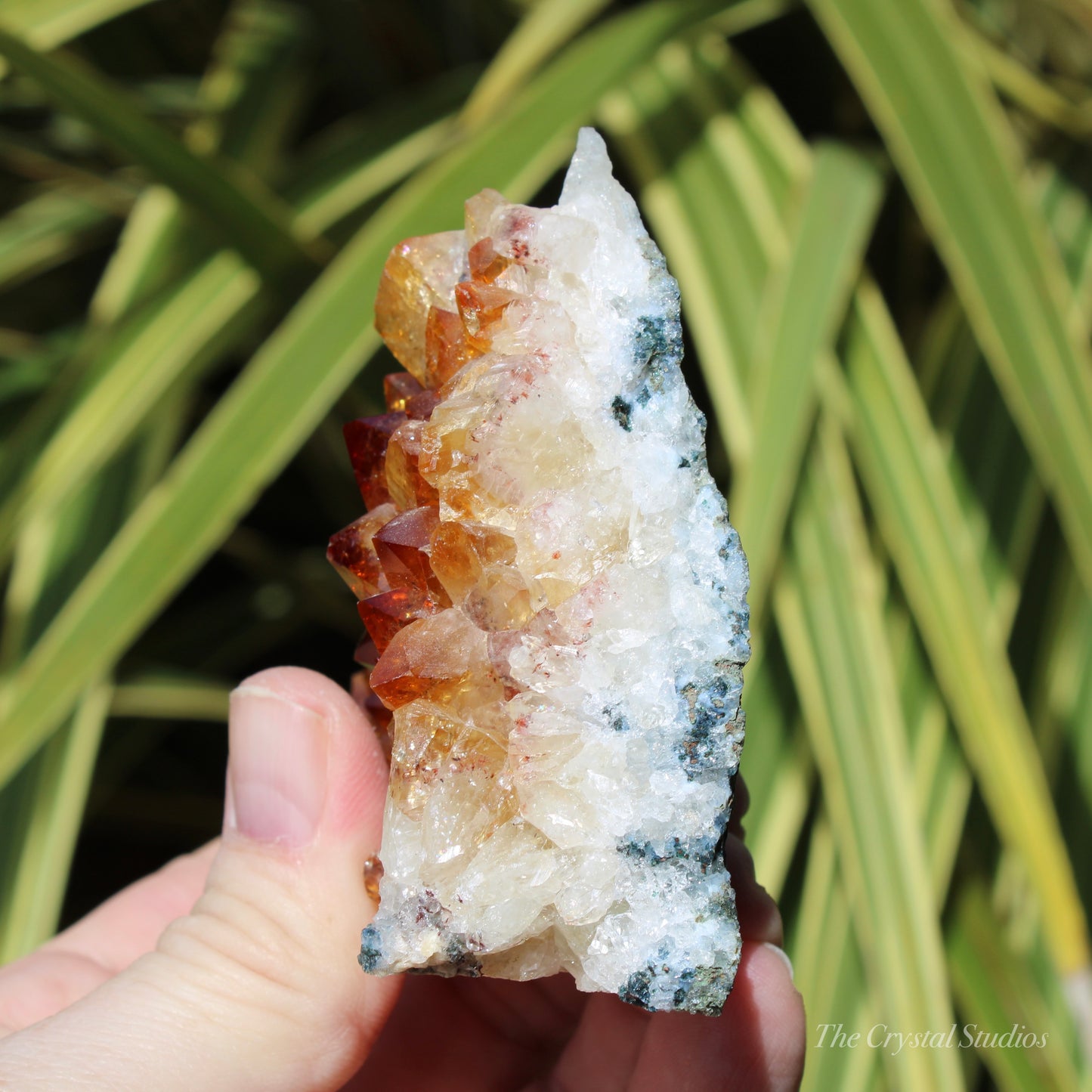 Citrine (Heat Treated) Crystal Cluster