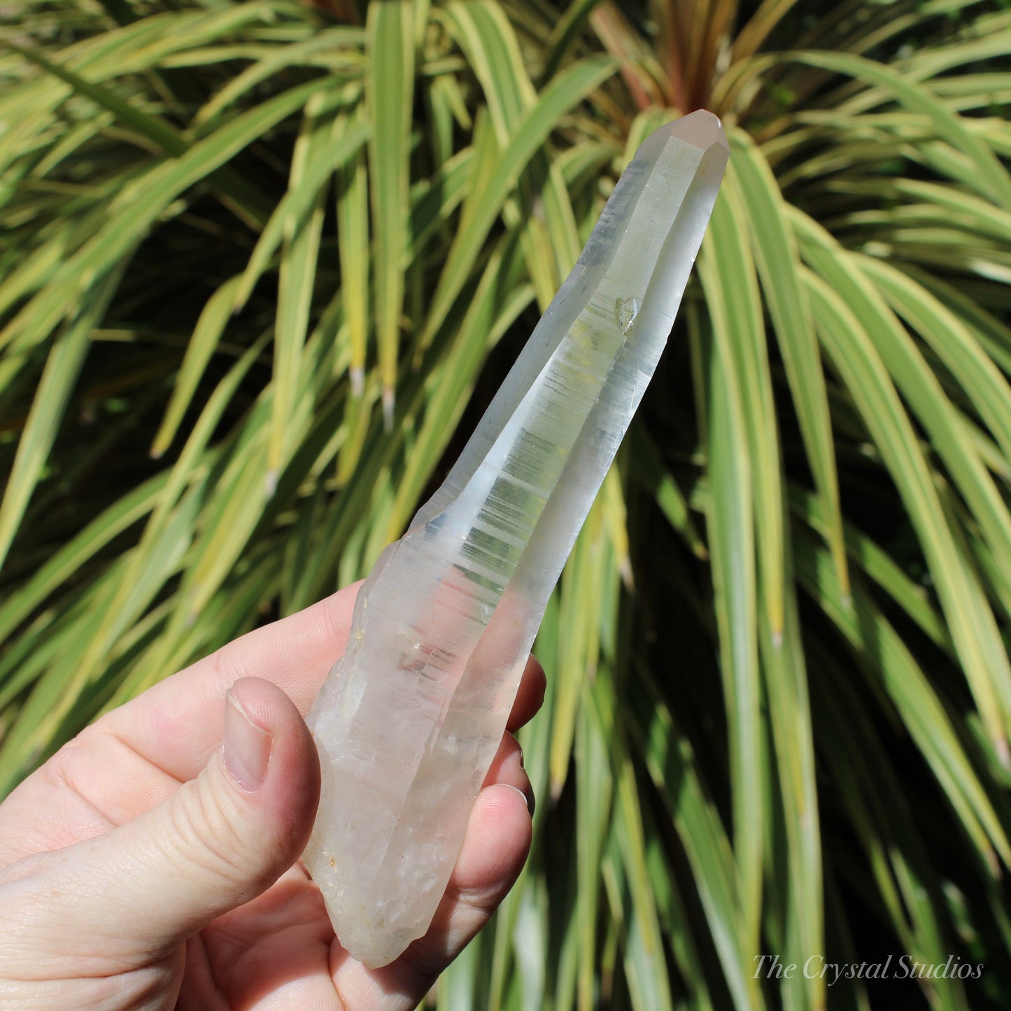 Lemurian Quartz Large Natural Point