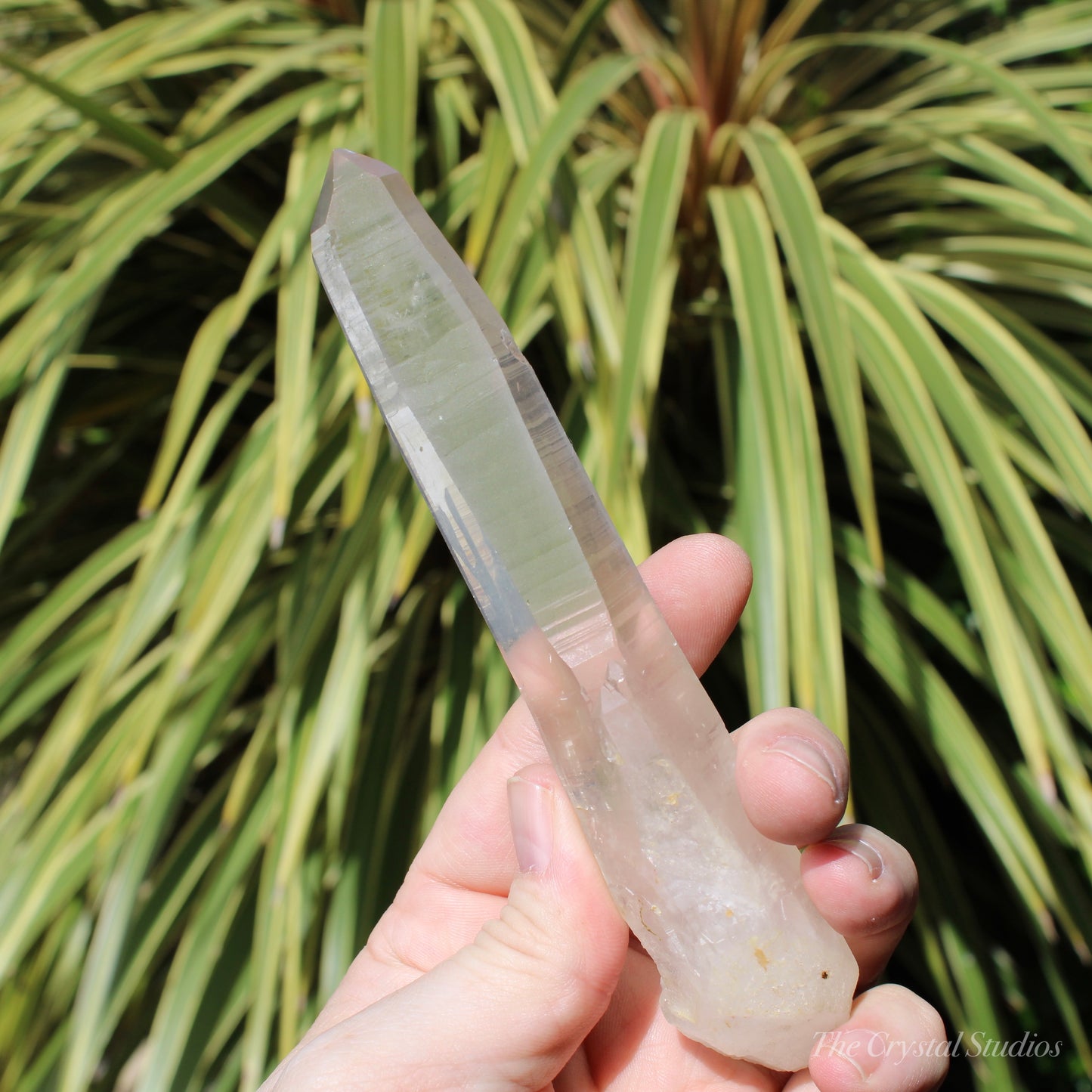 Lemurian Quartz Large Natural Point