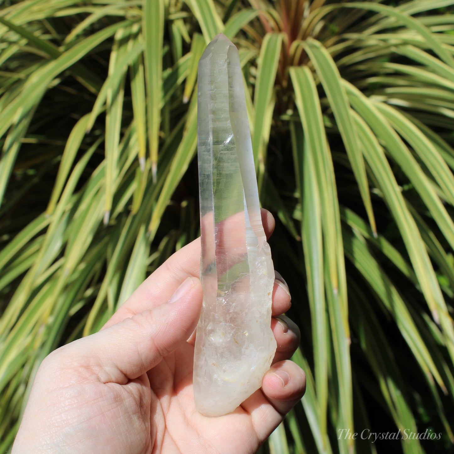 Lemurian Quartz Large Natural Point