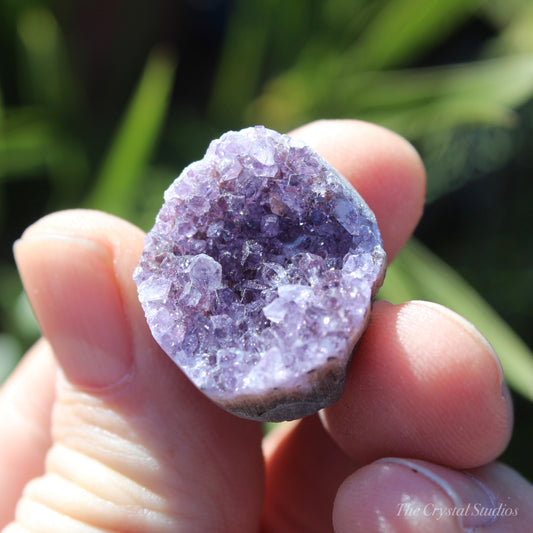 Amethyst Small Natural Crystal Cluster Disc