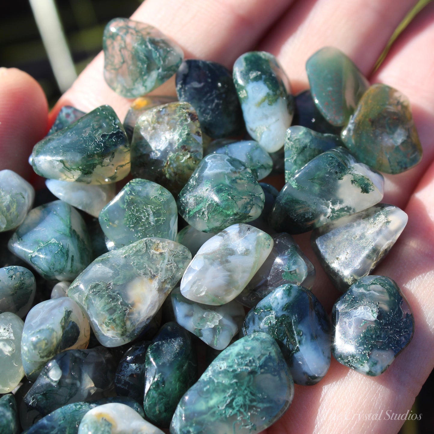 Moss Agate Small Polished Crystal Tumblestones