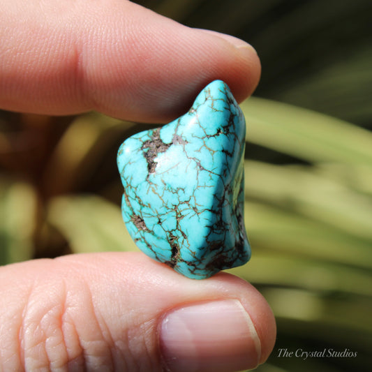 Blue Howlite Polished Crystal Nugget