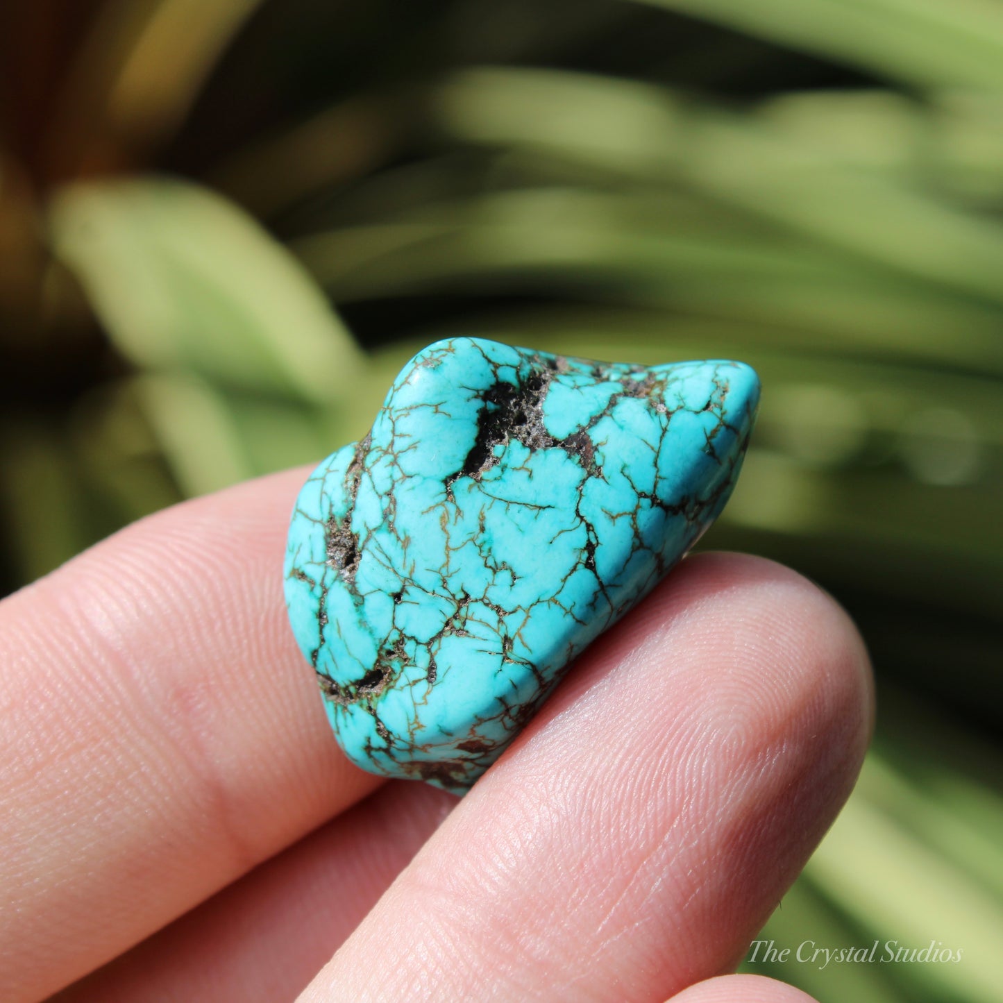 Blue Howlite Polished Crystal Nugget