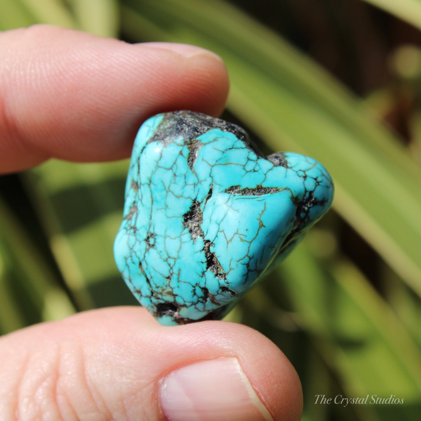 Blue Howlite Polished Crystal Nugget