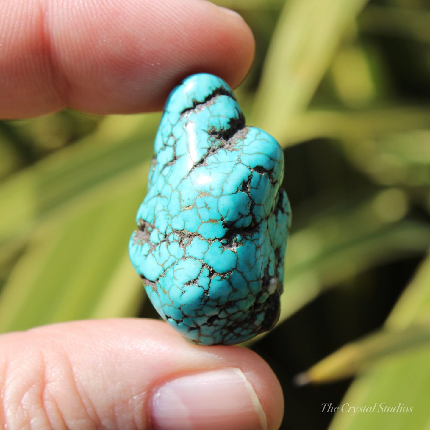 Blue Howlite Polished Crystal Nugget