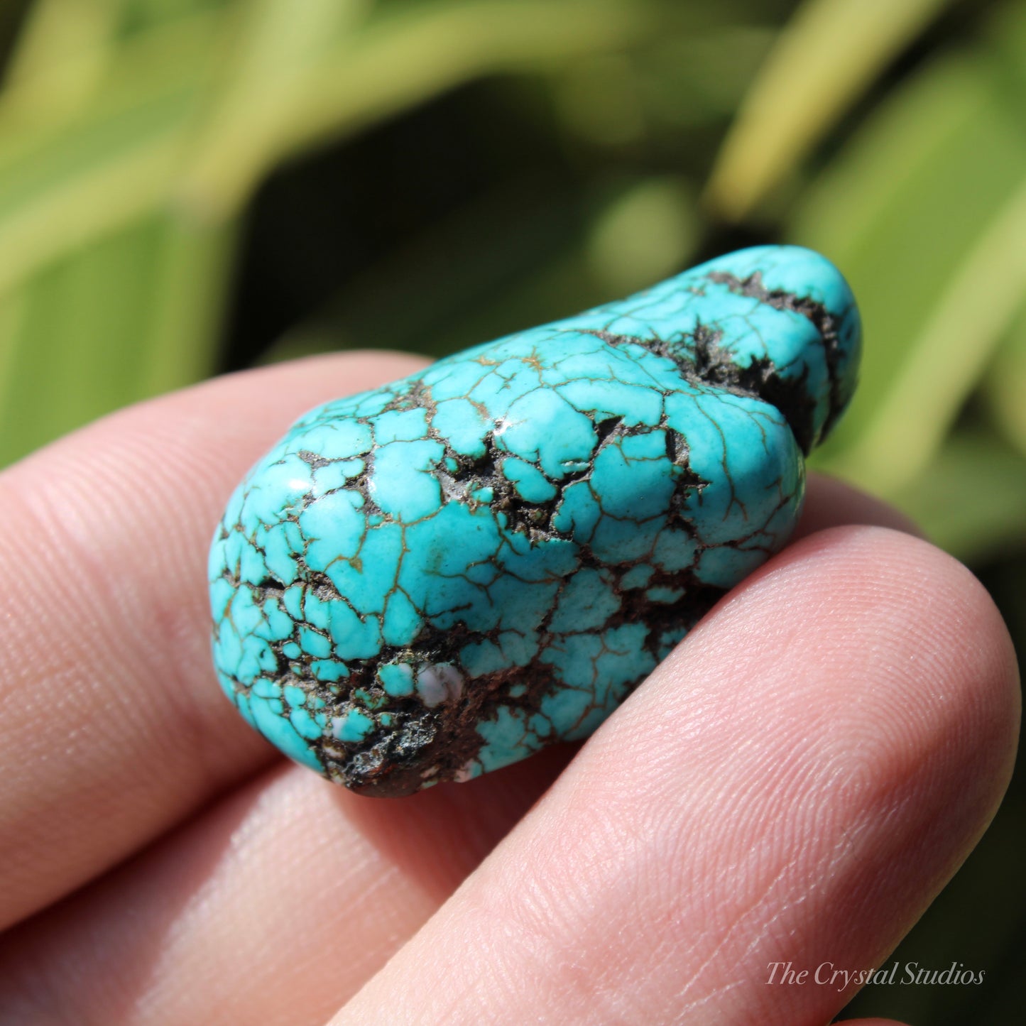 Blue Howlite Polished Crystal Nugget