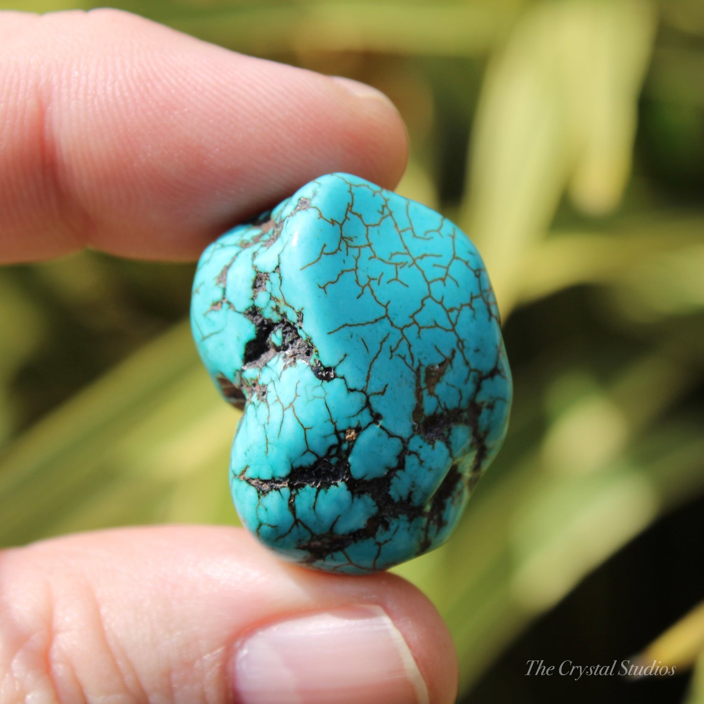 Blue Howlite Polished Crystal Nugget