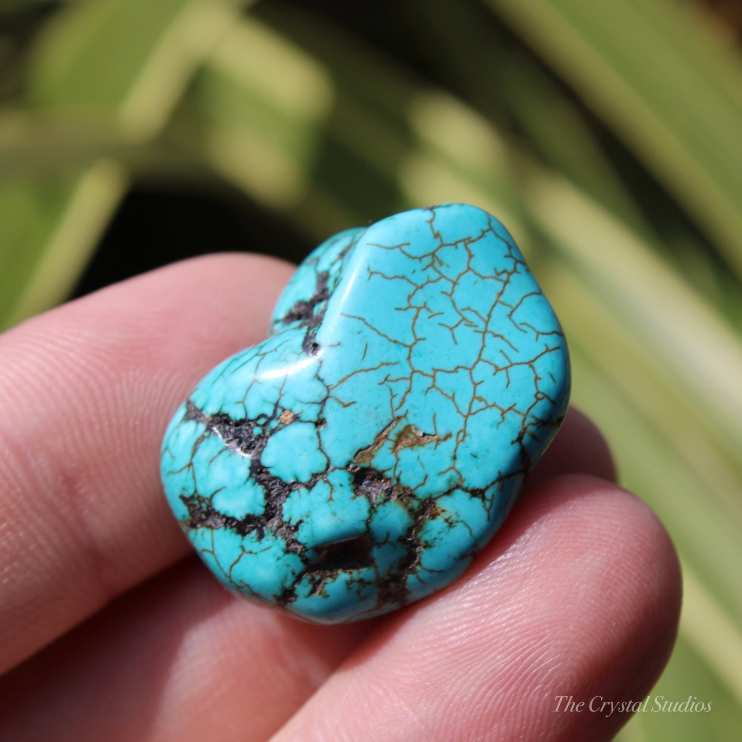 Blue Howlite Polished Crystal Nugget