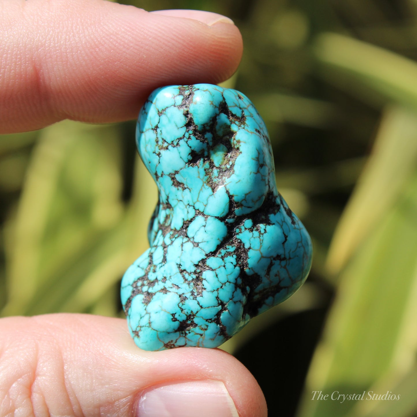 Blue Howlite Polished Crystal Nugget