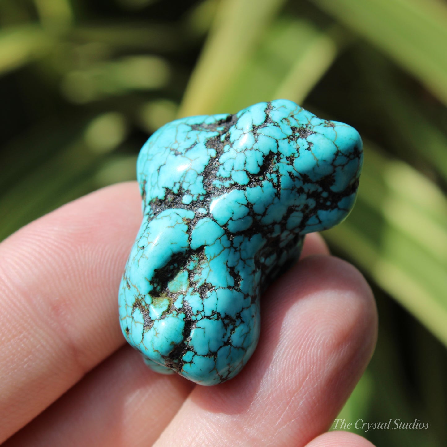 Blue Howlite Polished Crystal Nugget