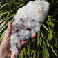 Apophyllite, Stilbite & Heulandite Natural Crystal Cluster - Large Long