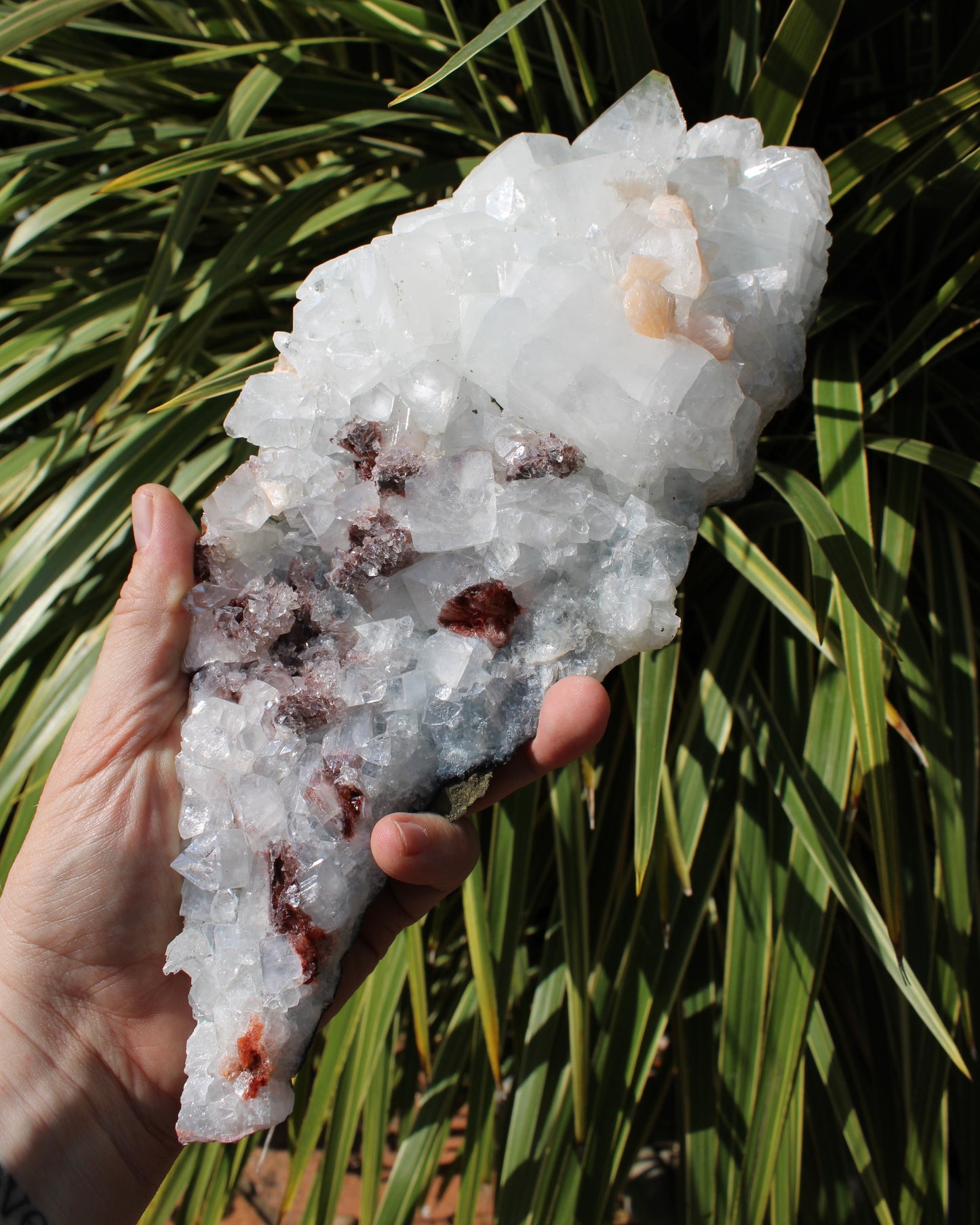 Apophyllite, Stilbite & Heulandite Natural Crystal Cluster - Large Long