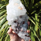 Apophyllite, Stilbite & Heulandite Natural Crystal Cluster - Large Long