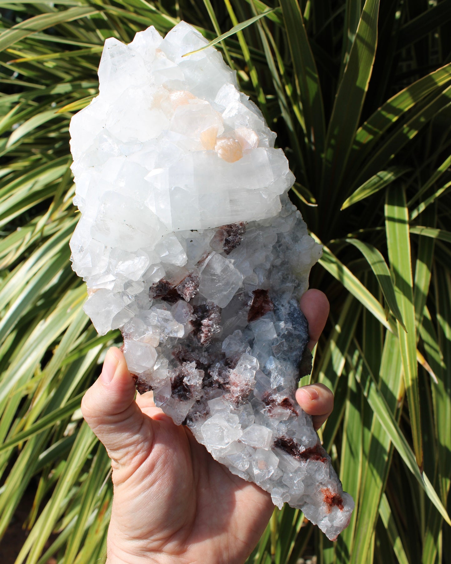 Apophyllite, Stilbite & Heulandite Natural Crystal Cluster - Large Long