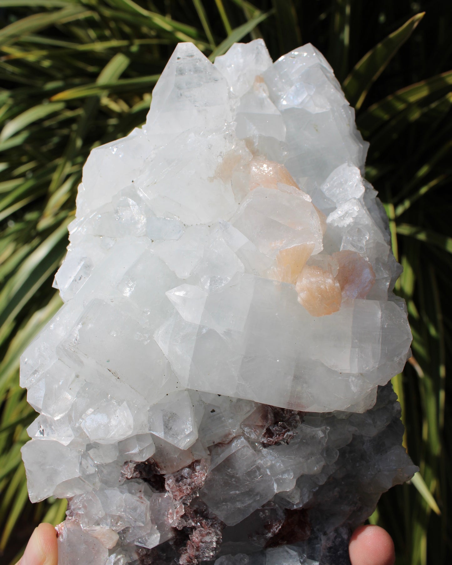 Apophyllite, Stilbite & Heulandite Natural Crystal Cluster - Large Long